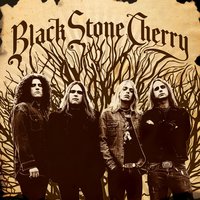 Backwoods Gold - Black Stone Cherry