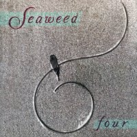 Chalk The Cracks - Seaweed