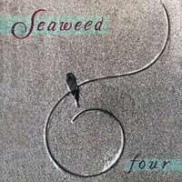 Kid Candy - Seaweed