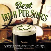 The Fields of Athenry - Paddy Reilly