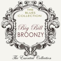 Somebody's Go to Go - Big Bill Broonzy