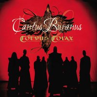 Nummus - Corvus Corax