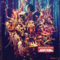 Behind the Light - Red Fang
