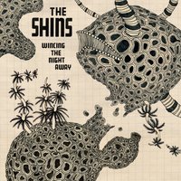Sleeping Lessons - the Shins