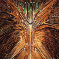 The Eagle Nature - Cynic