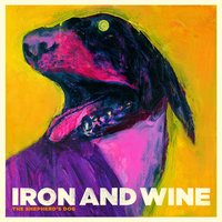 Wolves (Song of the Shepherd's Dog) - Iron & Wine