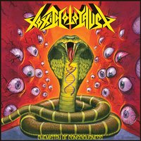 Salvation Is Waiting - Toxic Holocaust