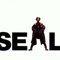 Wild - Seal