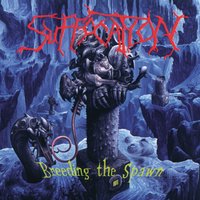 Breeding the Spawn - Suffocation