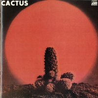 No Need to Worry - Cactus