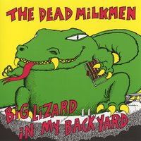 Laundromat Song - The Dead Milkmen