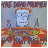 Air Crash Museum - The Dead Milkmen