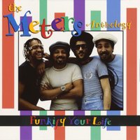 Funkify Your Life - The Meters