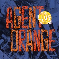 Somebody to Love - Agent Orange