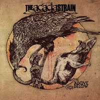 Below - The Acacia Strain