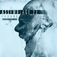 Salt The Earth - Assemblage 23