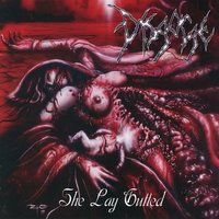 She Lay Gutted - Disgorge