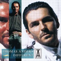 Fool If You Think It's Over - Thomas Anders