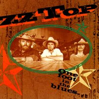 If I Could Only Flag Her Down - ZZ Top