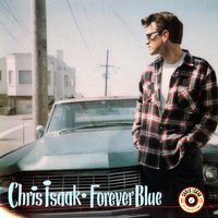 Shadows In A Mirror - Chris Isaak