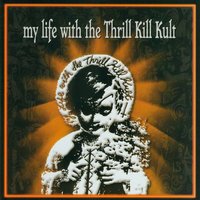 Resisting The Spirit - My Life With The Thrill Kill Kult