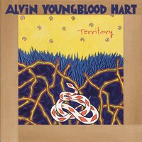 Illinois Blues - Alvin Youngblood Hart