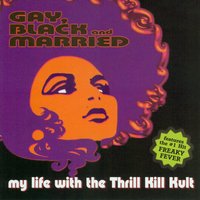 Fhantasi Luv'r - My Life With The Thrill Kill Kult