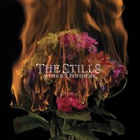 Oh Shoplifter - The Stills