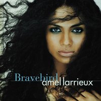 Say You Want It All - Amel Larrieux