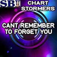 Can't Remember to Forget You - Chart stormers