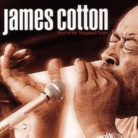 The Blues Keep Falling - James Cotton