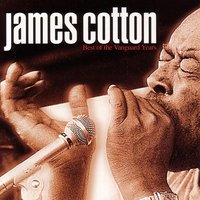 Honest I Do - James Cotton