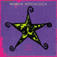 Antwoman - Robyn Hitchcock
