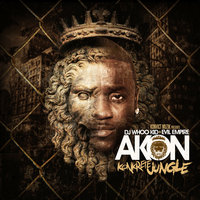 Call da Police (feat. Verse Simmonds & Busta Rhymes) - Akon