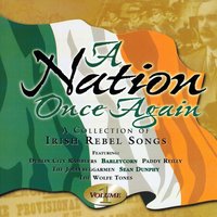 The Lonely Banna Strand - The Wolfe Tones