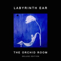 Urchin - Labyrinth Ear