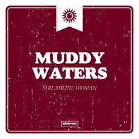 Walking Thru the Park - Muddy Waters