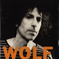 Forty to One - Peter Wolf