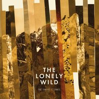 Banks and Ballrooms - The Lonely Wild, Ryan Ross, Andrew Carroll