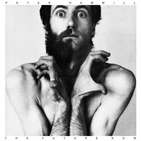 The Second Hand - Peter Hammill
