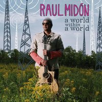 The More That I Know - Raul Midon