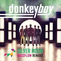 Silver Moon (Bassflow Remake) - Donkeyboy, Peter Boström