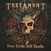 Disciples Of The Watch - Testament