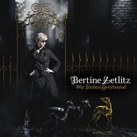 Obsession - Bertine Zetlitz