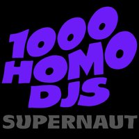 Hey Asshole! - 1000 Homo DJs