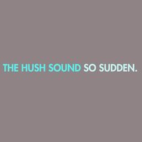 My Apologies - The Hush Sound