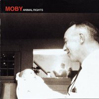 Someone To Love - Moby