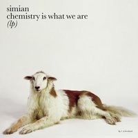 One Dimension - Simian