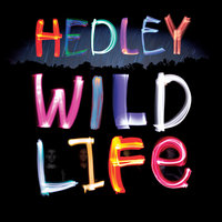 Dreaming's For Sleeping - Hedley
