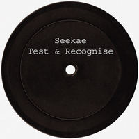 Test & Recognise - Seekae, Flume